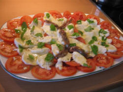 Tomaten mit Mozzarella