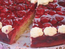 Himbeertorte mit Heidelbeeren